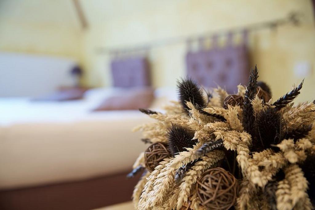 Méru La Grange De Boulaines B&B 객실 사진
